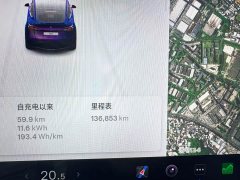 Tesla Model Y Rear-Wheel Drive - ფოტო 9
