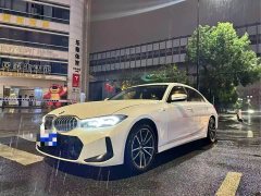BMW 3 Series 320Li M Sport Package - ფოტო 2