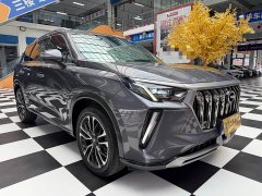GAC Aion GS4 PLUS 2021 270T Automatic Starlight Edition - ფოტო 5