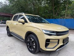 Geely Radar Horizon 2023 550km Deluxe Edition - ფოტო 3