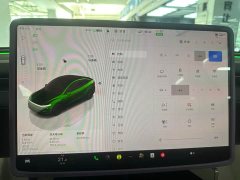 Tesla Model Y Rear-Wheel Drive - ფოტო 12