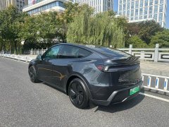 Tesla Model Y Rear-Wheel Drive - ფოტო 3