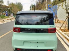 Wuling Hongguang MINIEV Zizai Edition LFP Battery - ფოტო 9