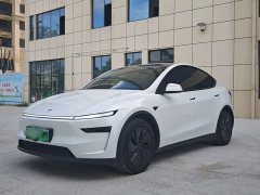 Tesla Model Y Long Range All-Wheel Drive - ფოტო 1