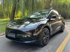 Tesla Model Y Rear-Wheel Drive - ფოტო 1