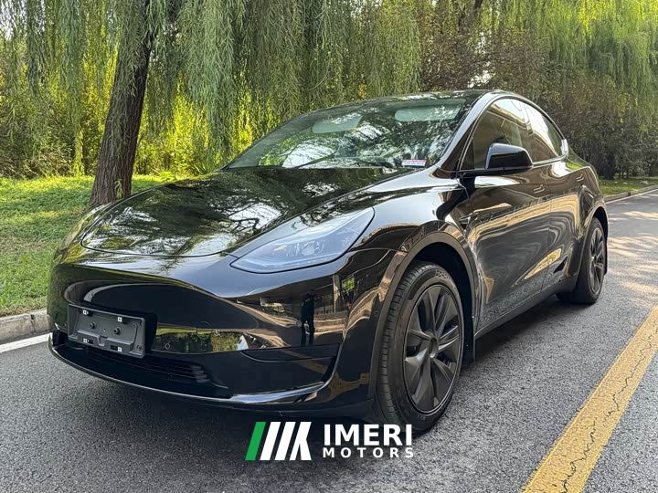 Tesla Model Y Rear-Wheel Drive