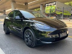 Tesla Model Y Rear-Wheel Drive - ფოტო 3