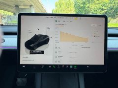 Tesla Model Y Rear-Wheel Drive - ფოტო 9