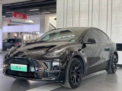 Tesla Model Y Long Range All-Wheel Drive - ფოტო 1