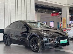 Tesla Model Y Long Range All-Wheel Drive - ფოტო 3