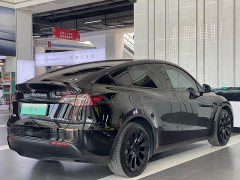 Tesla Model Y Long Range All-Wheel Drive - ფოტო 4