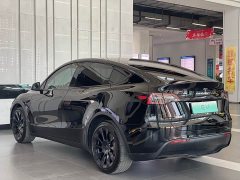Tesla Model Y Long Range All-Wheel Drive - ფოტო 6