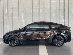Tesla Model Y Long Range All-Wheel Drive - ფოტო 8