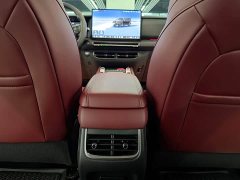 Tank 300 2025 2.0T Gasoline Challenger - ფოტო 12