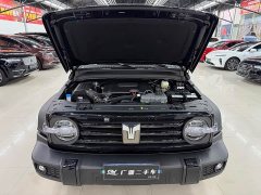 Tank 300 2025 2.0T Gasoline Challenger - ფოტო 19