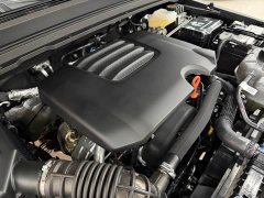 Tank 300 2025 2.0T Gasoline Challenger - ფოტო 20