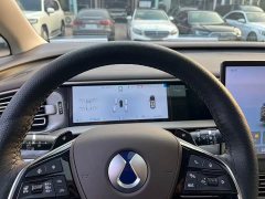 Denza BYD Denza D9 2025 DM-i AWD Premium Navigation Edition - ფოტო 8