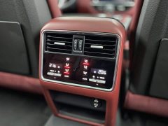 Porsche 2019 Cayenne 3.0T - ფოტო 15