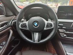 BMW 5 Series 530Li Luxury Edition Premium Package - ფოტო 16