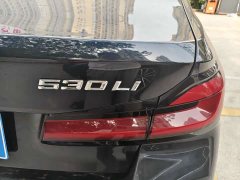BMW 5 Series 530Li Luxury Edition Premium Package - ფოტო 9