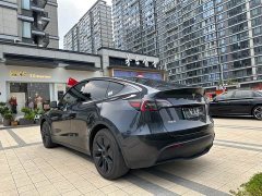 Tesla Model Y Rear-Wheel Drive - ფოტო 10