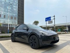 Tesla Model Y Rear-Wheel Drive - ფოტო 2