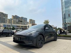Tesla Model Y Rear-Wheel Drive - ფოტო 3