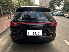 AITO M7 1.5T Intelligent Driving RWD Max 5-Seater - ფოტო 8