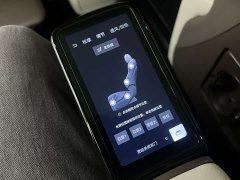 Denza BYD Denza D9 2022 DM-i 1040 Premium - ფოტო 20