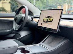 Tesla Model 3 Rear-Wheel Drive - ფოტო 9