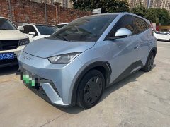 BYD Seagull Glory Edition 305km Vitality Version - ფოტო 1