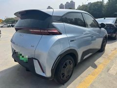 BYD Seagull Glory Edition 305km Vitality Version - ფოტო 10