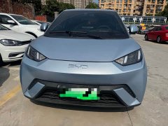 BYD Seagull Glory Edition 305km Vitality Version - ფოტო 2