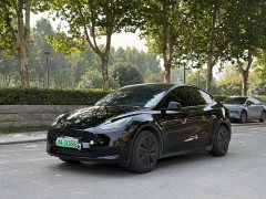 Tesla Model Y 2022 Rear-Wheel Drive - ფოტო 1