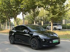 Tesla Model Y 2022 Rear-Wheel Drive - ფოტო 4