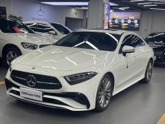 Mercedes-Benz CLS 300 Dynamic - ფოტო 1