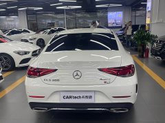 Mercedes-Benz CLS 300 Dynamic - ფოტო 6