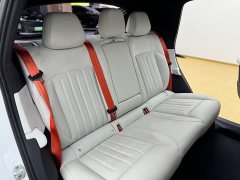Nio Lerado L60 60kWh Rear-Wheel Drive - ფოტო 15