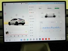 Nio Lerado L60 60kWh Rear-Wheel Drive - ფოტო 19