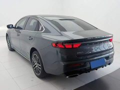 Geely Xingrui 2.0T Diesel Elite - ფოტო 9