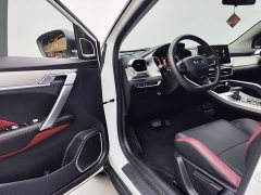 Geely Bingyue 1.4T DCT Diamond Edition - ფოტო 8