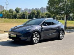 Tesla Model Y Rear-Wheel Drive - ფოტო 1