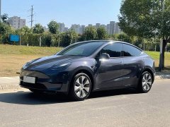 Tesla Model Y Rear-Wheel Drive - ფოტო 2