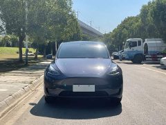 Tesla Model Y Rear-Wheel Drive - ფოტო 3