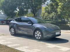 Tesla Model Y Rear-Wheel Drive - ფოტო 4
