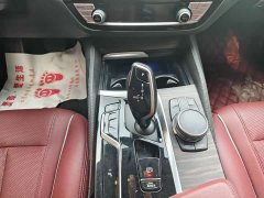 BMW 5 Series Facelift 530Li Premier M Sport Package - ფოტო 18