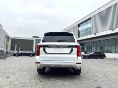 Tank 500 2022 3.0T Business Edition Landscape Trim 5-Seater - ფოტო 11