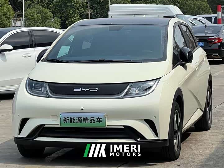 BYD Dolphin 420km Fashion Edition - ავტომობილი ჩინეთიდან