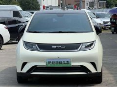 BYD Dolphin 420km Fashion Edition - ფოტო 2