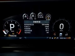Ford Mustang 2.3T Long Beach - ფოტო 14
